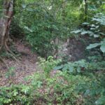 listing image thumbnail with ID 58535