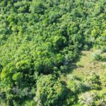 listing image thumbnail with ID 59288