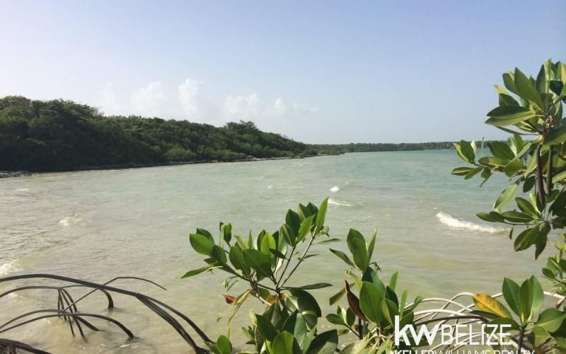 listing image with ID 59143