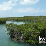 listing image thumbnail with ID 59189