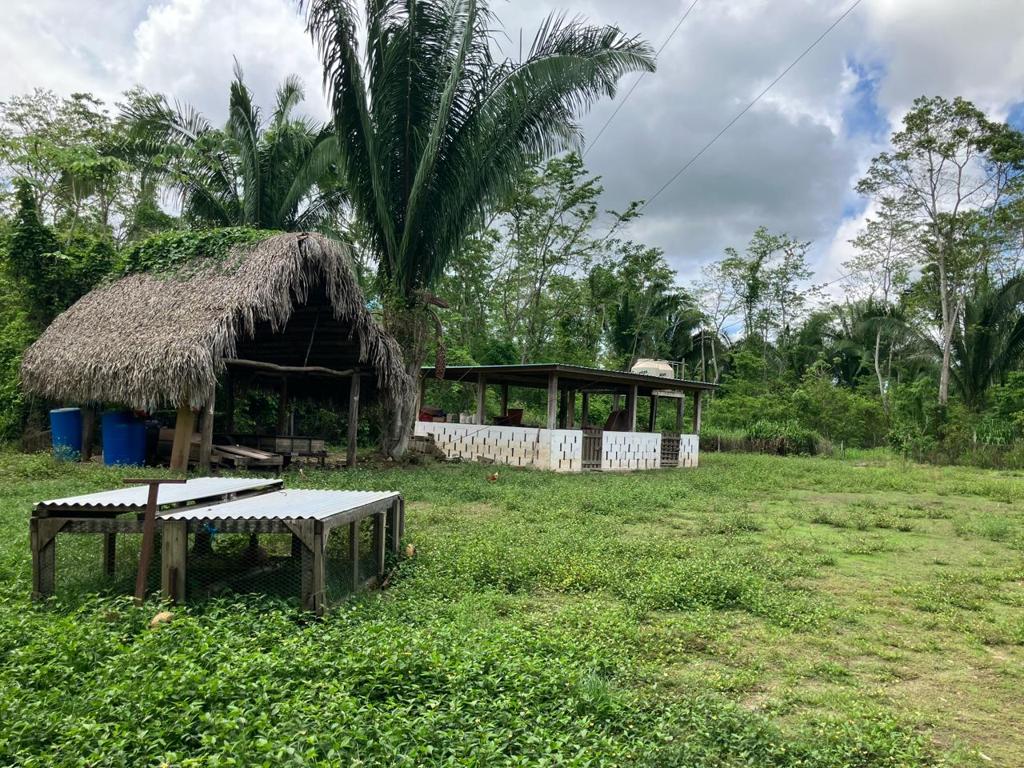 listing image with ID 59204