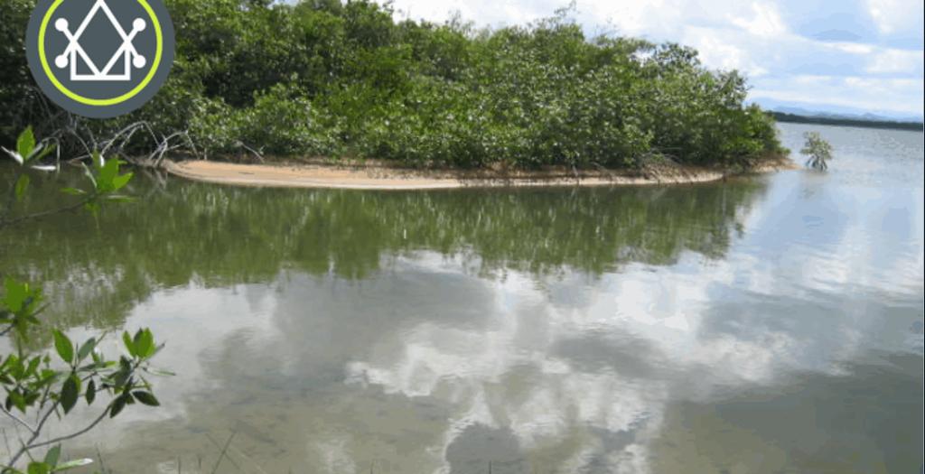 listing image with ID 59086