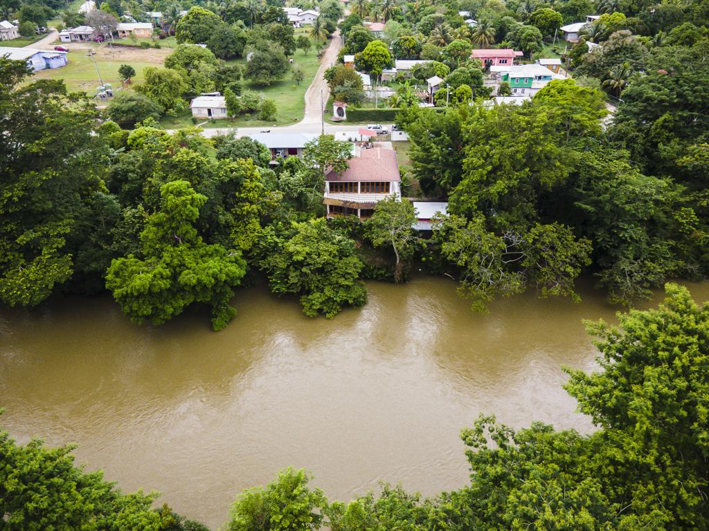 listing image with ID 59445