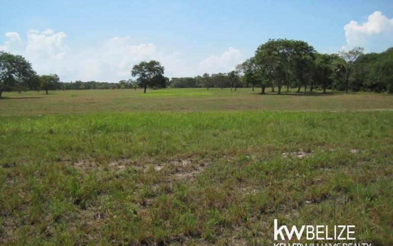 listing image with ID 59162