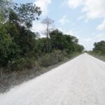 listing image thumbnail with ID 58983