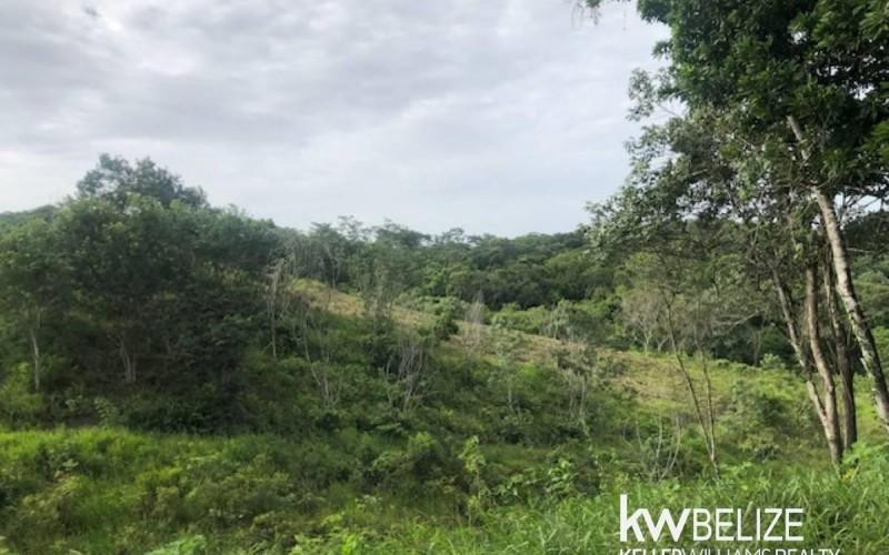 listing image with ID 58682