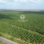 listing image thumbnail with ID 58992