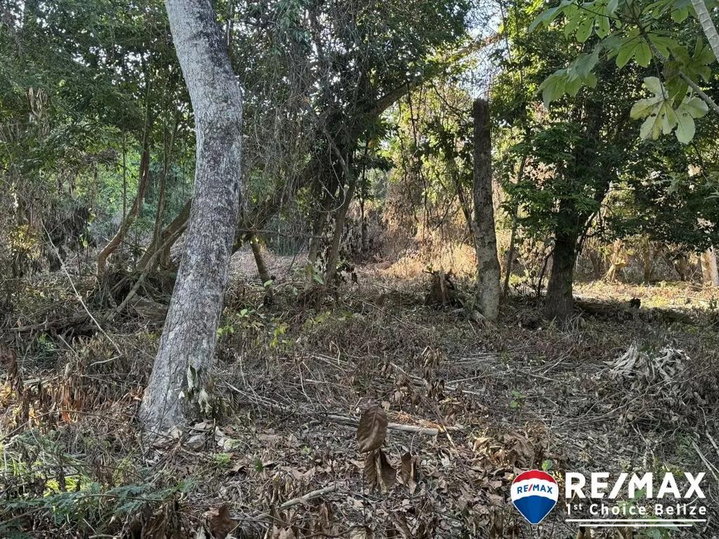 listing image with ID 59121