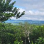 listing image thumbnail with ID 58693