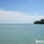 listing image thumbnail with ID 59172