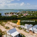 listing image thumbnail with ID 58460