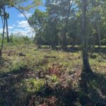 listing image thumbnail with ID 59126