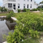 listing image thumbnail with ID 58840