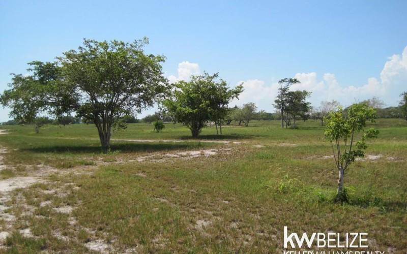 listing image with ID 59144