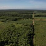 listing image thumbnail with ID 59278