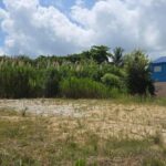 listing image thumbnail with ID 58542