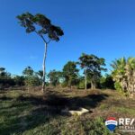 listing image thumbnail with ID 59122