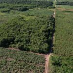 listing image thumbnail with ID 59280