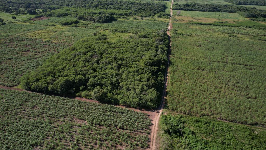 listing image with ID 59280