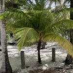 listing image thumbnail with ID 58420