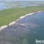 listing image thumbnail with ID 59196