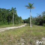 listing image thumbnail with ID 59157