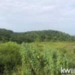 listing image thumbnail with ID 58675