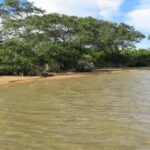 listing image thumbnail with ID 59435