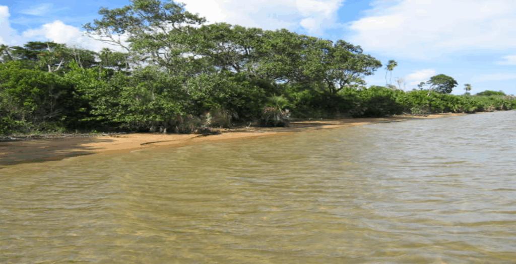 listing image with ID 59435