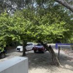 listing image thumbnail with ID 58430