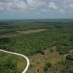 listing image thumbnail with ID 58987