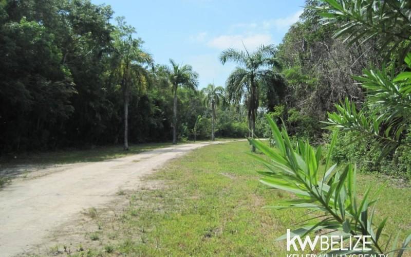 listing image with ID 59137