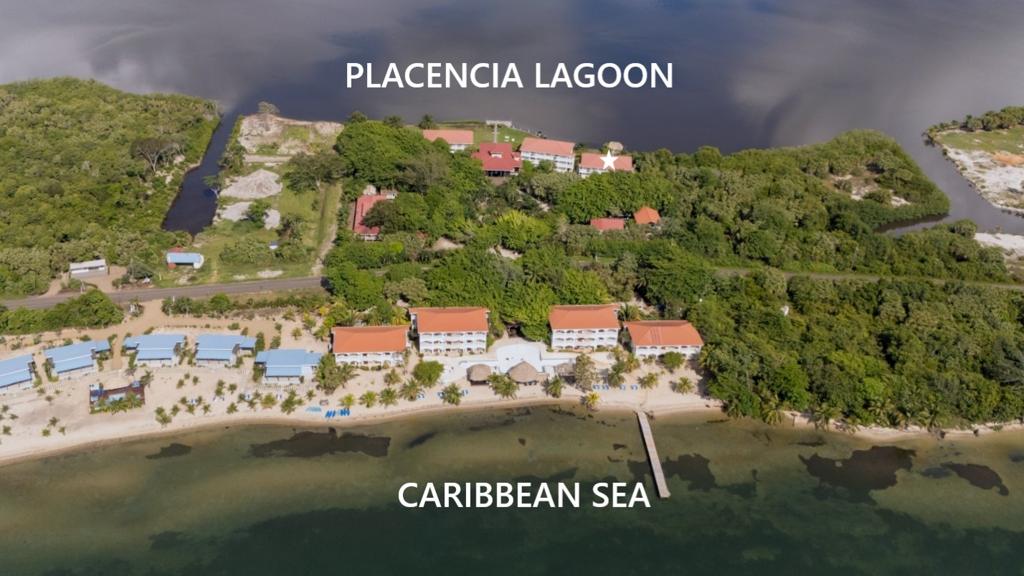 listing image with ID 59472