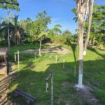 listing image thumbnail with ID 58382