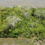 listing image thumbnail with ID 58412