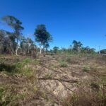 listing image thumbnail with ID 59311