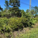 listing image thumbnail with ID 59315