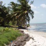 listing image thumbnail with ID 59199