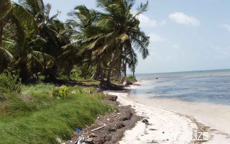 listing image with ID 59199