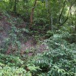 listing image thumbnail with ID 58534