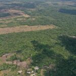 listing image thumbnail with ID 58986