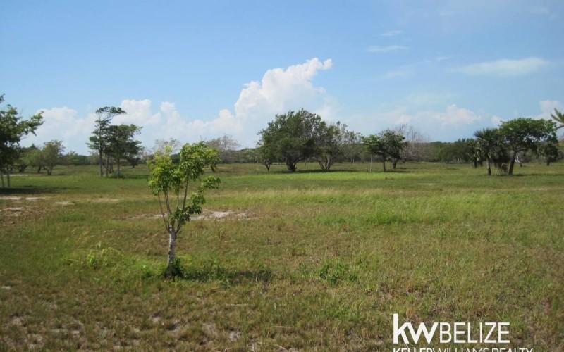 listing image with ID 59169