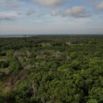 listing image thumbnail with ID 58372