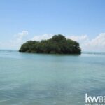 listing image thumbnail with ID 59134