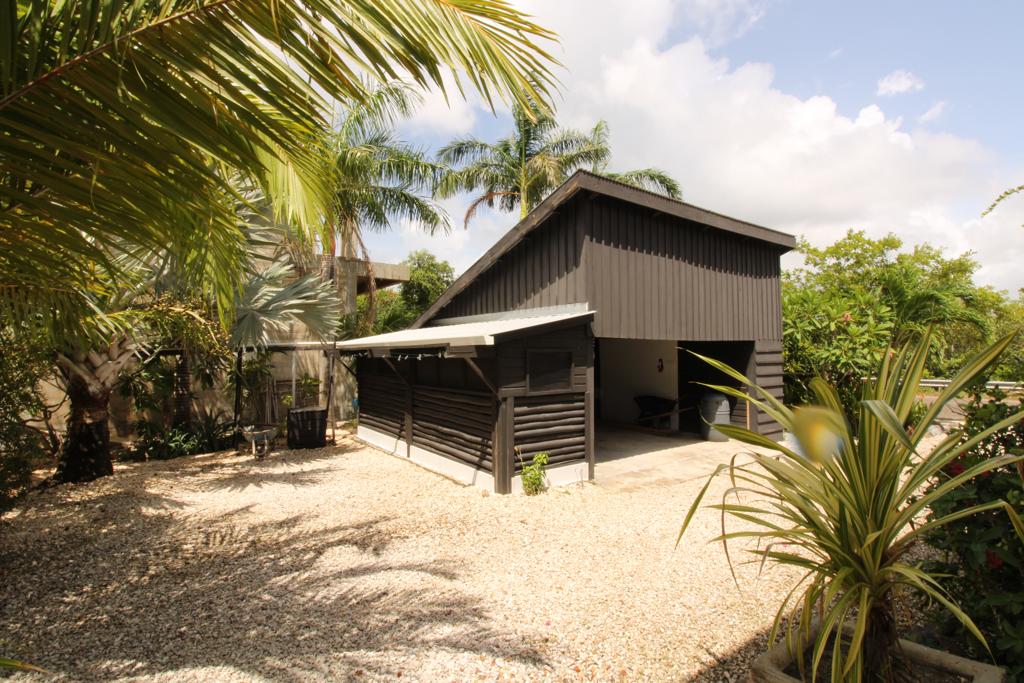 listing image with ID 59025