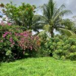 listing image thumbnail with ID 59207