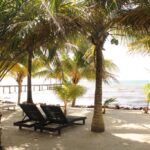 listing image thumbnail with ID 59026