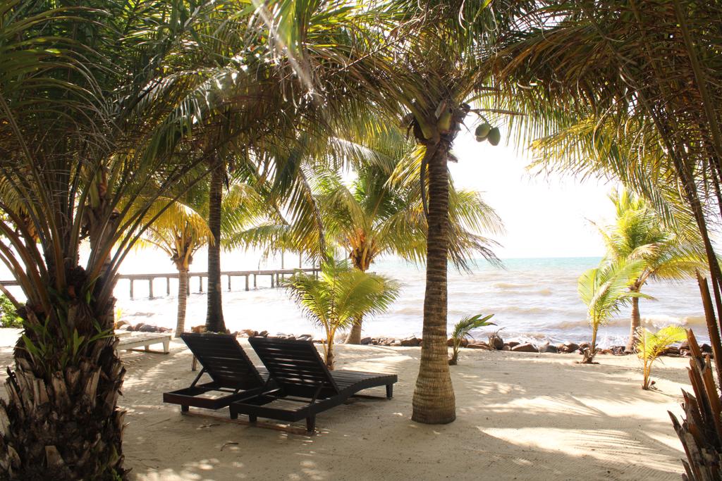 listing image with ID 59026