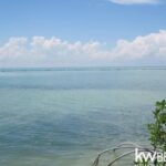 listing image thumbnail with ID 59165