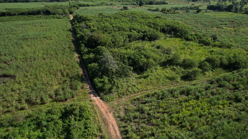 listing image with ID 59279